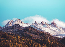 hth:健康、信任、和谐的生活之道